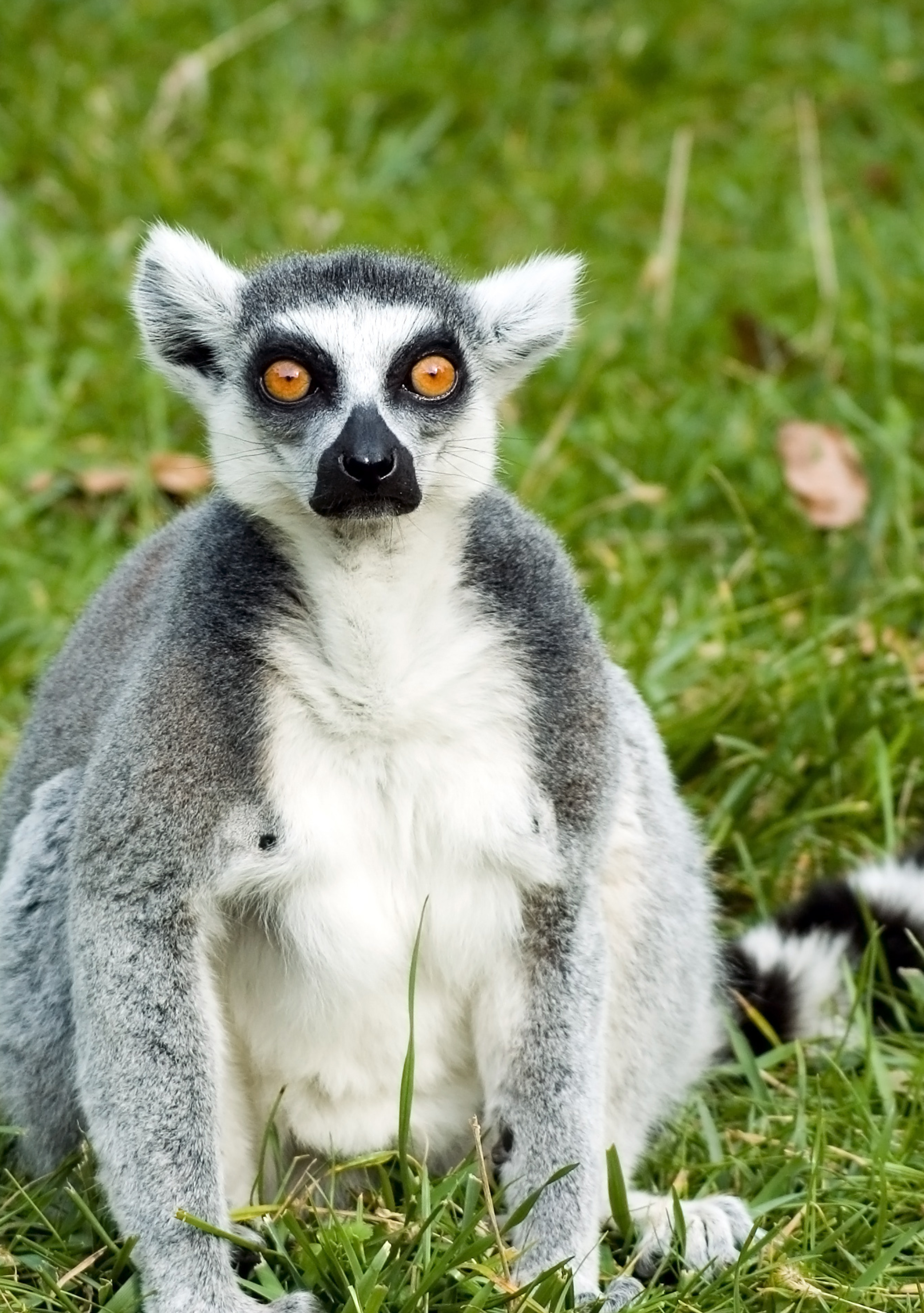 Navrh-bez-nazvu-23 Navrh-bez-nazvu-23